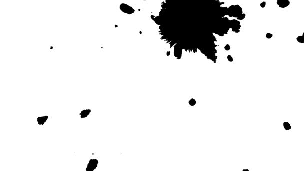 黒インクスポットは、白い背景に広がる黒インクスポットを広げる — ストック動画