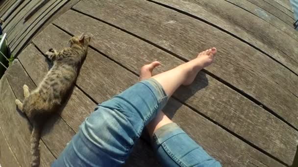 Mädchenbeine und liegende Katze auf der Oberfläche alter Holzplanken. Ansicht von oben. — Stockvideo