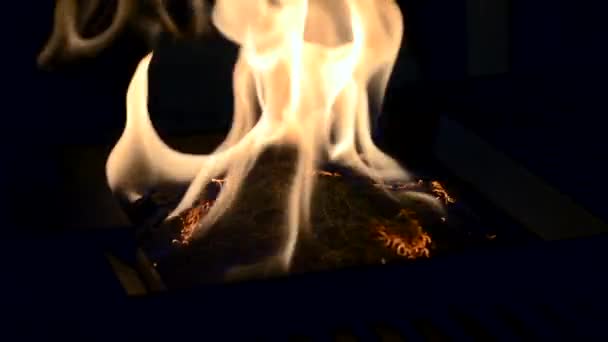 Jeden Biofireplace vypálit na etanol plyn.