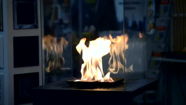 バイオ燃料エタノール fireplot 暖炉クローズ アップ マウント現代. — ストック動画