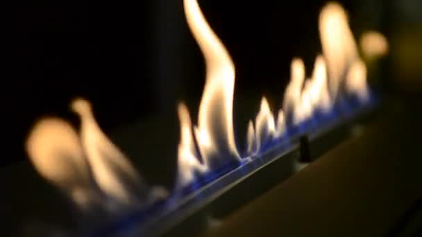 En Biofireplace bränner på etanol gas. — Stockvideo