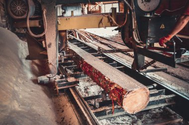 Bıçkıhane. bıçkıhane makinesindeki makine kayıtları ağaç gövdesini testereyle keser