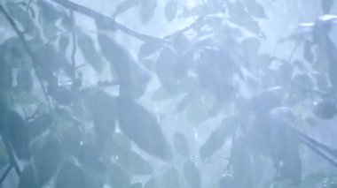 Gündüzleri ağır yağmur duş sağanak sağanak yağış geliyor.