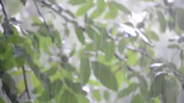 Gündüzleri ağır yağmur duş sağanak sağanak yağış geliyor.