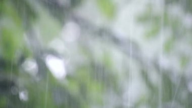 Gündüzleri ağır yağmur duş sağanak sağanak yağış geliyor.