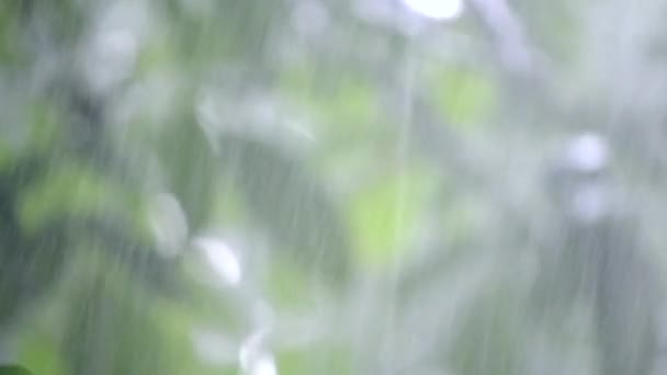 Lluvia de lluvia fuerte aguacero lluvia turbia lluvia viene en el día . — Vídeos de Stock