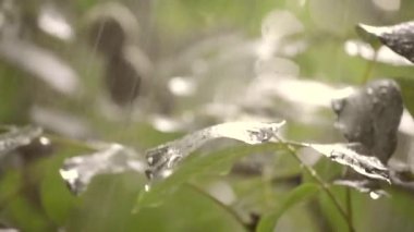 Gündüzleri ağır yağmur duş sağanak sağanak yağış geliyor.