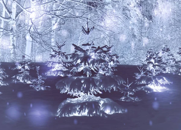 Lesní stromy v zimě pokrýměly sníh v noci.. — Stock fotografie