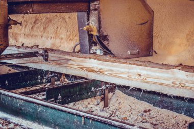 Bıçkıhane. Teçhizat testere makinesindeki makine kayıtları tahta tahtalardaki ağaç gövdesini testereyle kesiyor. Ahşap talaşı ahşap ahşap işçiliğini kesiyor.