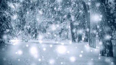 Karla kaplı ağaçlar bitki ormanları kış filtresi, etki