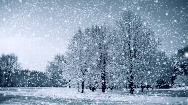 Tree in a field in winter with falling snow, blue. Snow forest snowfall. — Stock Video