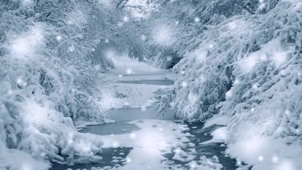 Floresta de plantas de árvores cobertas de neve no filtro de inverno, efeito. — Vídeo de Stock