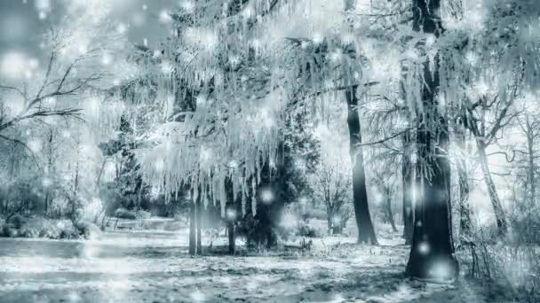 Зимовий парк у сонячний день. Дерева, дорога вкрита снігом в холодний день . — стокове відео