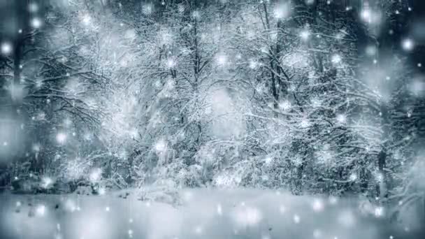 Floresta de plantas de árvores cobertas de neve no filtro de inverno, efeito. — Vídeo de Stock
