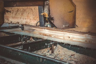 Bıçkıhane. Teçhizat testere makinesindeki makine kayıtları tahta tahtalardaki ağaç gövdesini testereyle kesiyor. Ahşap talaşı ahşap ahşap işçiliğini kesiyor.