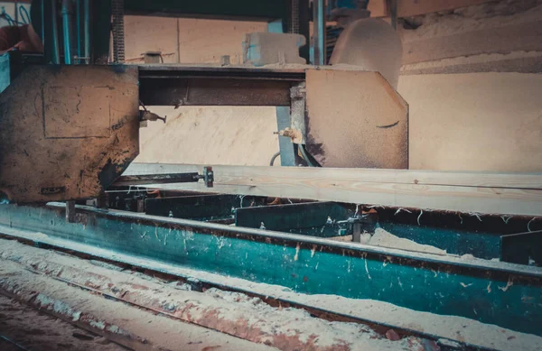 Sawmill Process Machining Logs Equipment Sawmill Machine Saw Saws Tree — Stock Photo, Image