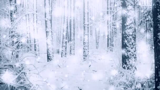 Boom pijnboom sparren in magisch bos winter met vallende sneeuw zonnige dag — Stockvideo