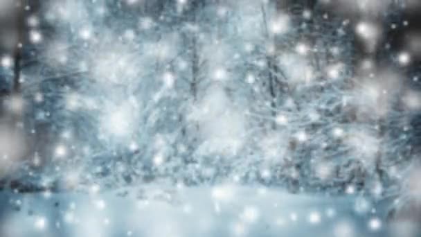 Schneebedeckte Bäume pflanzen Wald im Winter Filter, Effekt. — Stockvideo