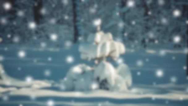 Bello piccolo albero di Natale e albero in campo in inverno neve che cade, — Video Stock