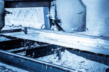 Bıçkıhane. bıçkıhane makinesindeki makine kayıtları ağaç gövdesini testereyle keser