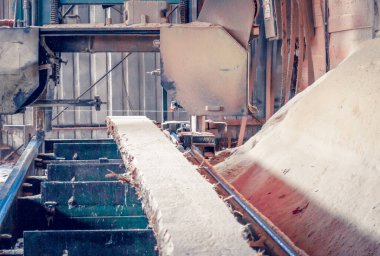 Bıçkıhane. bıçkıhane makinesindeki makine kayıtları ağaç gövdesini testereyle keser