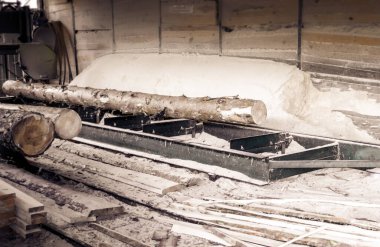 Bıçkıhane. bıçkıhane makinesindeki makine kayıtları ağaç gövdesini testereyle keser