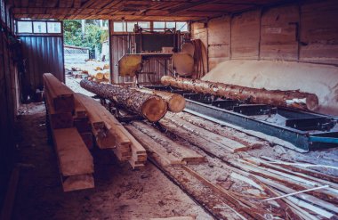 Bıçkıhane. bıçkıhane makinesindeki makine kayıtları ağaç gövdesini testereyle keser