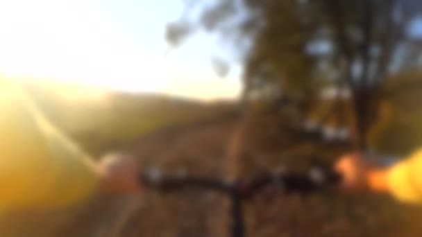 Blurred background. A bike ride quickly through the forest thicket — Stock Video