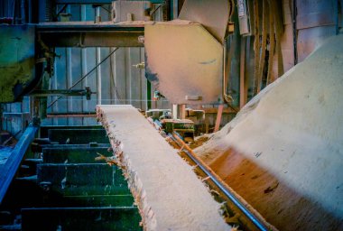 Bıçkıhane. bıçkıhane makinesindeki makine kayıtları ağaç gövdesini testereyle keser