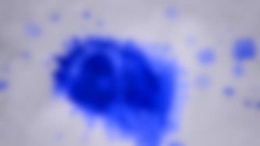 Arka plan bulanık. Renkli boya beyaz ıslak kağıda sıçrar. Yaratıcı soyut