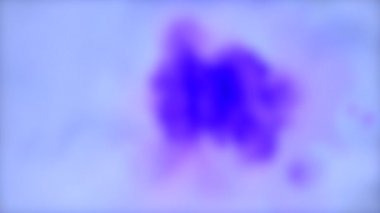 Arka plan bulanık. Beyaz Islak Yüzeye Güzel Yayılan Mor Mürekkep Damlaları.