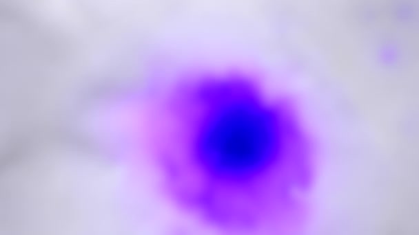 背景がぼやけている。白いぬれた表面に美しい広がる紫色のインク滴. — ストック動画