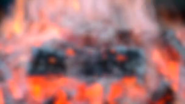 Fondo borroso. pedazo de humo de madera quemada y quemaduras en el primer plano del fuego — Vídeo de stock