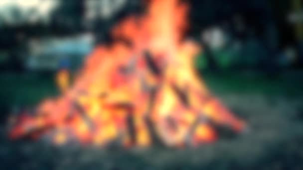 Wazige achtergrond. Een groot mooi vuur en liet een brandende stok vallen — Stockvideo