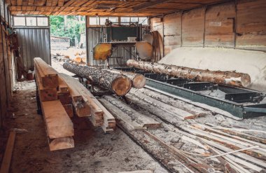 Bıçkıhane. bıçkıhane makinesindeki makine kayıtları ağaç gövdesini testereyle keser