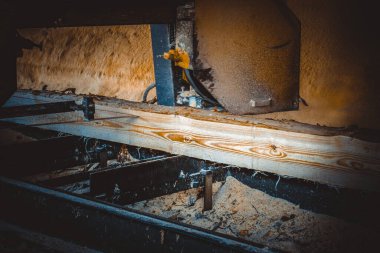 Bıçkıhane. bıçkıhane makinesindeki makine kayıtları ağaç gövdesini testereyle keser