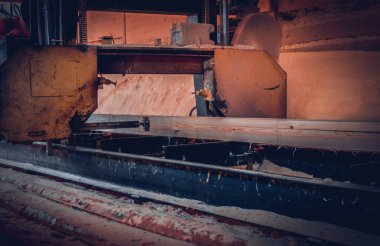 Bıçkıhane. bıçkıhane makinesindeki makine kayıtları ağaç gövdesini testereyle keser