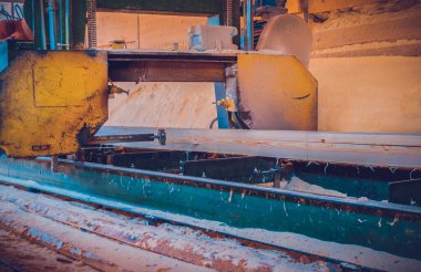 Bıçkıhane. bıçkıhane makinesindeki makine kayıtları ağaç gövdesini testereyle keser