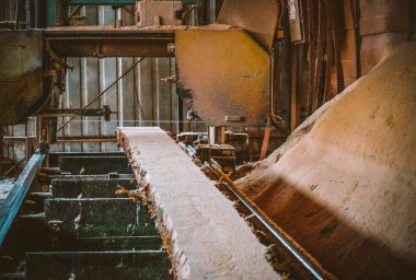 Bıçkıhane. Teçhizat testere makinesindeki makine kayıtları tahta tahtalardaki ağaç gövdesini testereyle kesiyor. Ahşap talaşı ahşap ahşap işçiliğini kesiyor.