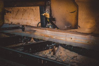 Bıçkıhane. Teçhizat testere makinesindeki makine kayıtları tahta tahtalardaki ağaç gövdesini testereyle kesiyor. Ahşap talaşı ahşap ahşap işçiliğini kesiyor.