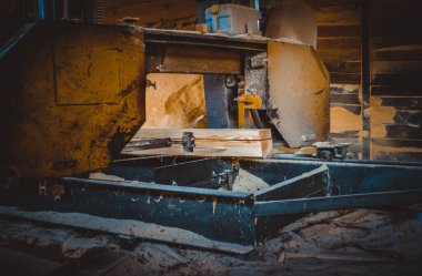 Bıçkıhane. Teçhizat testere makinesindeki makine kayıtları tahta tahtalardaki ağaç gövdesini testereyle kesiyor. Ahşap talaşı ahşap ahşap işçiliğini kesiyor.