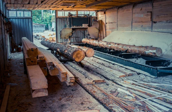 Bıçkıhane. Teçhizat testere makinesindeki makine kayıtları tahta tahtalardaki ağaç gövdesini testereyle kesiyor. Ahşap talaşı ahşap ahşap işçiliğini kesiyor.