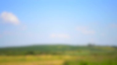 Arka plan bulanık. Sıcak bir yaz gününde gökyüzü bulutlarla kaplı.