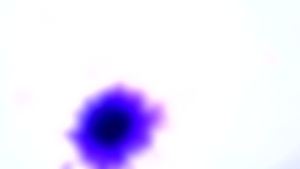 Unscharfer Hintergrund. Vereinzelte schöne Verbreitung lila Farbtropfen — Stockvideo