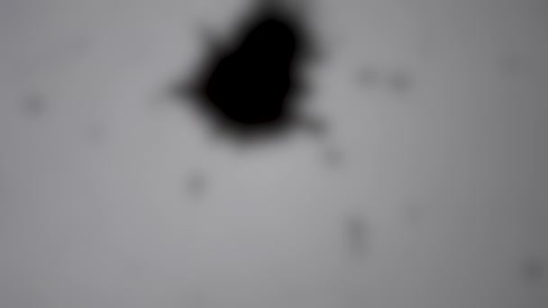 背景がぼやけている。スプラッシュ滴が落ちる黒インク塗料の滴 — ストック動画