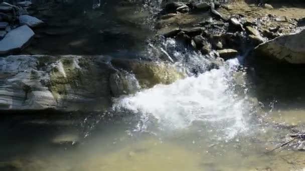 Pequeño y poco profundo río rocoso con rápidos y cascadas fluye en las montañas — Vídeos de Stock