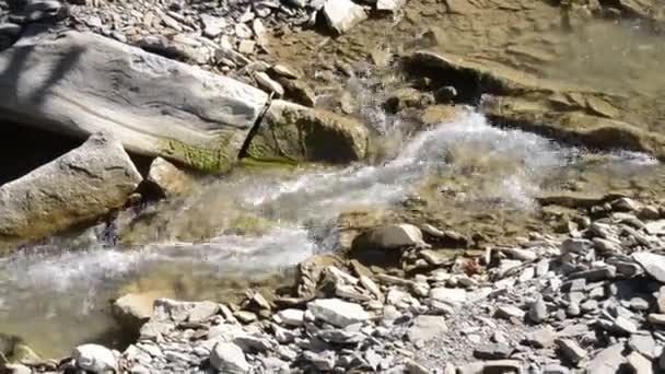 Sungai berbatu kecil dan dangkal dengan jeram dan air terjun mengalir di pegunungan — Stok Video