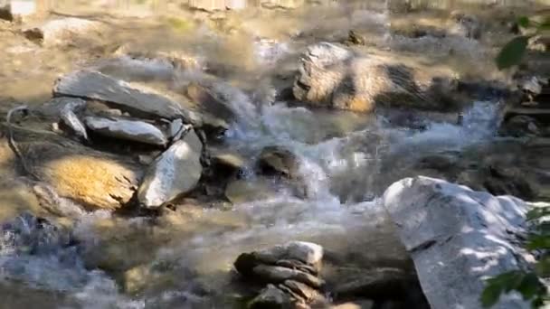 Pequeño y poco profundo río rocoso con rápidos y cascadas fluye en las montañas — Vídeo de stock