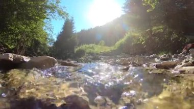 Manzara dağ nehri, dağlar, orman, taşlar ve mavi gökyüzü.