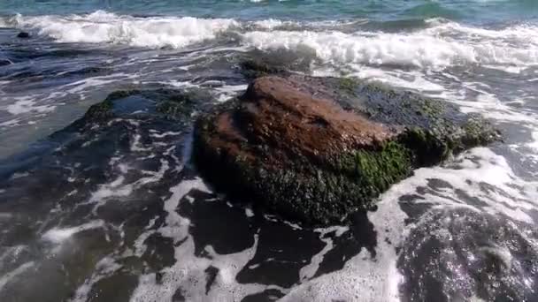 De golven van de zee lopen heel langzaam over de stenen aan de kust. — Stockvideo